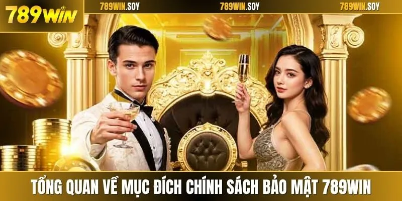 Tổng quan về mục đích chính sách bảo mật 789WIN