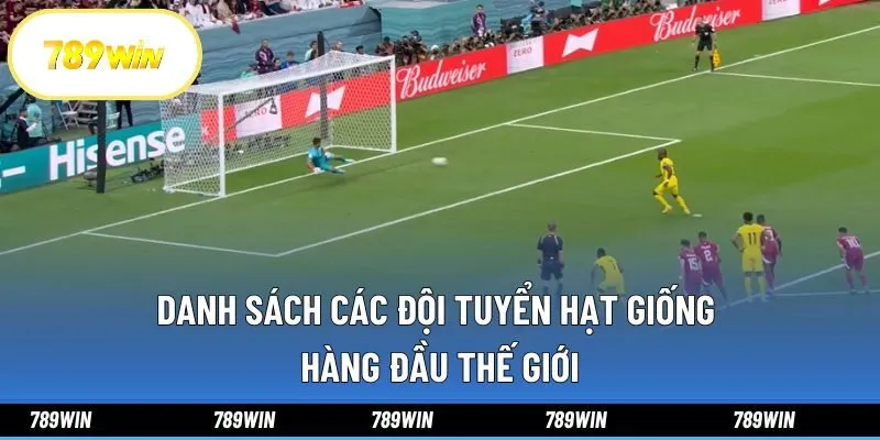 Danh sách các đội tuyển hạt giống hàng đầu thế giới