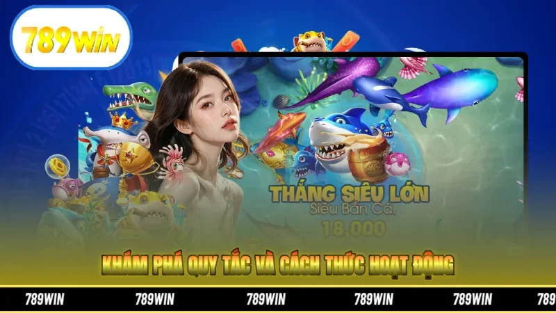 Khám phá quy tắc và cách thức hoạt động